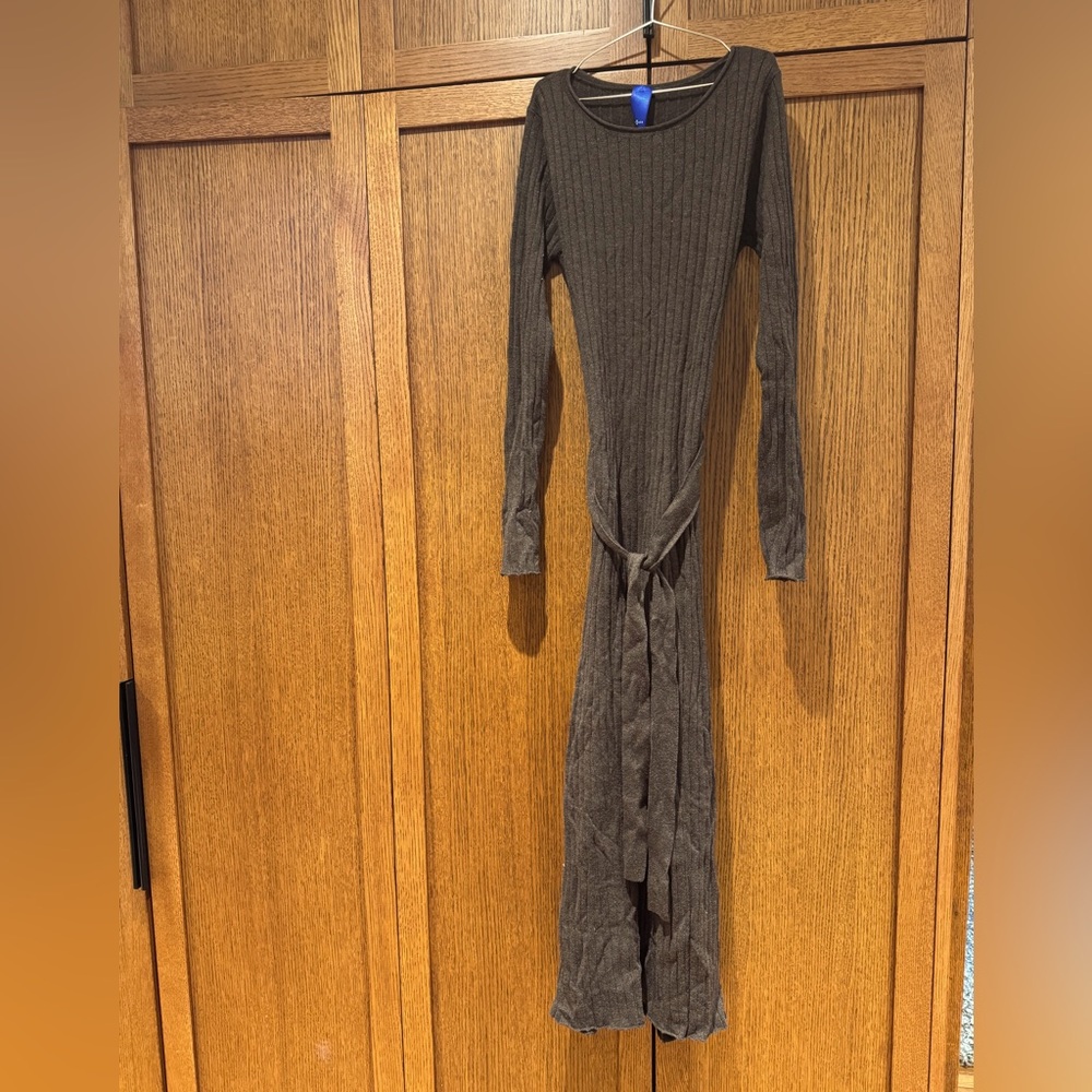 Kit and Ace Dreamy Merino Long Sleeve Flare Dress